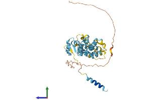 AlphaFold protein structure predicition of Mouse Recombinant Psmd8 Protein, UniprotID Q9CX56