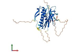 Protein Structure (PS) image for HORMA Domain Containing 2 (HORMAD2) (AA 1-306) protein (His tag) (ABIN7557523)
