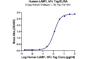 ELISA image for Leukocyte-Associated Immunoglobulin-Like Receptor 1 (LAIR1) (AA 22-163) protein (Fc Tag) (ABIN7275117)