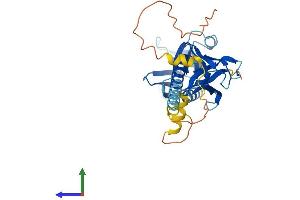 Protein Structure (PS) image for Docking Protein 5 (DOK5) (AA 1-306) protein (His tag) (ABIN7560152)