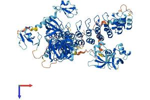 MIB2 Protein (AA 1-973) (His tag)