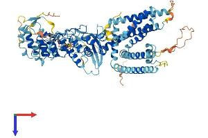 TRPV2 Protein (AA 1-764) (His tag)