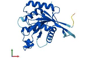 AlphaFold protein structure predicition of Human Recombinant GIMD1 Protein, UniprotID P0DJR0