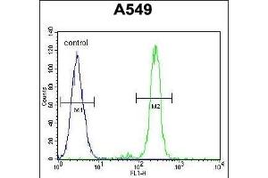 CEP70 Antibody (Center) (ABIN654603 and ABIN2844302) flow cytometric analysis of A549 cells (right histogram) compared to a negative control cell (left histogram).