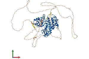 Protein Structure (PS) image for MAP/microtubule Affinity-Regulating Kinase 2 (MARK2) (AA 1-776) protein (His tag) (ABIN7563596)