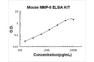 Matrix Metallopeptidase 8 (Neutrophil Collagenase) (MMP8) ELISA Kit