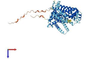 SLC11A1 Protein (AA 1-548) (His tag)
