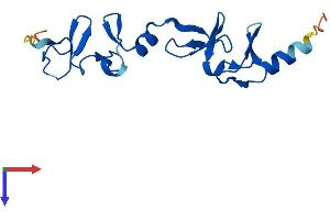 LMO3 Protein (AA 1-145) (His tag)