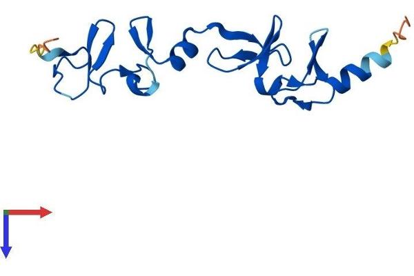 LMO3 Protein (AA 1-145) (His tag)