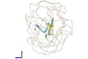 Protein Structure (PS) image for Reticulon 4 (RTN4) (AA 1-1192) protein (His tag) (ABIN7555321)