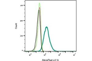 Indirect flow cytometry of recombinant human GDNF protein in live intact human SH-SY5Y cells. (GDNF Protein (Biotin))