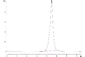 The purity of Human CD28H is greater than 95 % as determined by SEC-HPLC. (CD28H (AA 23-150) protein (His tag))