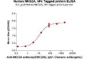ELISA plate pre-coated by 2 μg/mL (100 μL/well) Human A Protein, hFc Tag (ABIN6964171, ABIN7042511 and ABIN7042512) can bind Anti-A antibody, IgG1 Chimeric mAb in a linear range of 3.