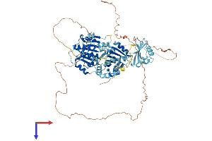 DDX21 Protein (AA 1-783) (His tag)