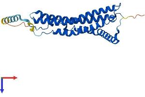 PSME1 Protein (AA 1-249) (His tag)