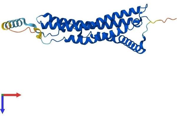 PSME1 Protein (AA 1-249) (His tag)
