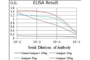 Black line: Control Antigen (100 ng), Purple line: Antigen(10 ng), Blue line: Antigen (50 ng), Red line: Antigen (100 ng), (ALDH2 Antikörper  (AA 317-517))