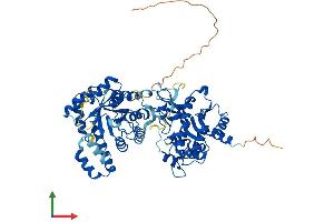 Protein Structure (PS) image for Methylenetetrahydrofolate Reductase (NAD(P)H) (MTHFR) (AA 1-656) protein (His tag) (ABIN7549577)