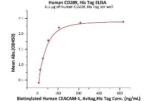 Immobilized Human CD209, His Tag (ABIN6950997,ABIN6952274) at 5 μg/mL (100 μL/well) can bind Biotinylated Human CEACAM-1, Avitag,His Tag (ABIN3137678,ABIN5674022) with a linear range of 10-78 ng/mL (QC tested). (DC-SIGN/CD209 Protein (AA 59-404) (His tag))