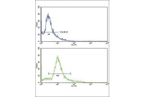 Flow Cytometry (FACS) image for anti-3-Hydroxy-3-Methylglutaryl-CoA Synthase 1 (Soluble) (HMGCS1) antibody (ABIN3002731) (HMGCS1 Antikörper)