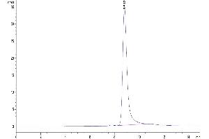 Size-exclusion chromatography-High Pressure Liquid Chromatography (SEC-HPLC) image for Butyrophilin, Subfamily 3, Member A1 (BTN3A1) (AA 1-219) protein (His-Avi Tag) (ABIN7274001)