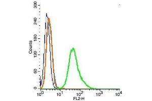 RSC96 probed with Ezrin Polyclonal Antibody, Unconjugated  at 1:100 for 30 minutes followed by incubation with a PE conjugated secondary (green) for 30 minutes compared to control cells (blue), secondary only (light blue) and isotype control (orange).