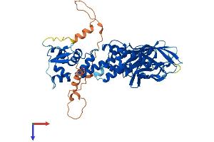 BTBD3 Protein (AA 1-522) (His tag)