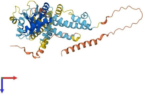 IRGC Protein (AA 1-463) (His tag)