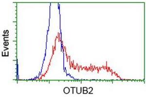 Flow Cytometry (FACS) image for anti-OTU Domain, Ubiquitin Aldehyde Binding 2 (OTUB2) antibody (ABIN1499936) (OTUB2 Antikörper)