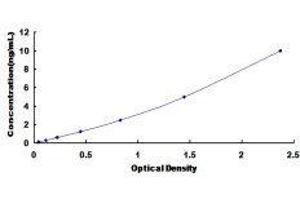 ELISA image for Collagen, Type VI, alpha 1 (COL6A1) ELISA Kit (ABIN432559)