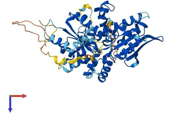 NARF Protein (AA 1-456) (His tag)