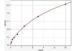 Typical standard curve (ANKRD30A ELISA Kit)