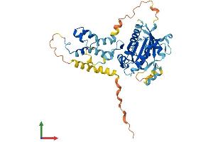 Protein Structure (PS) image for F-Box Protein 4 (FBXO4) (AA 1-385) protein (His tag) (ABIN7559340)