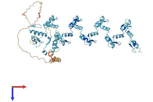 ZNF569 Protein (AA 1-686) (His tag)