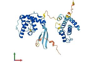 Protein Structure (PS) image for Parvin, gamma (PARVG) (AA 1-331) protein (His tag) (ABIN7550601)