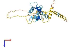 MAGEH1 Protein (AA 1-219) (His tag)
