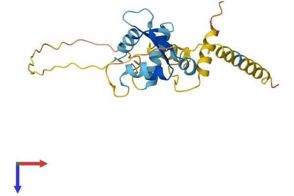 MAGEH1 Protein (AA 1-219) (His tag)