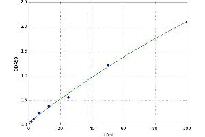 A typical standard curve