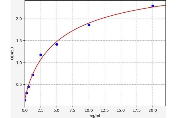 TBX3 ELISA Kit