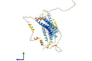 Protein Structure (PS) image for Transmembrane Protein 184C (TMEM184C) (AA 1-525) protein (His tag) (ABIN7557078)