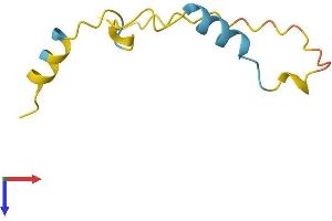 PKIG Protein (AA 1-76) (Fc Tag)