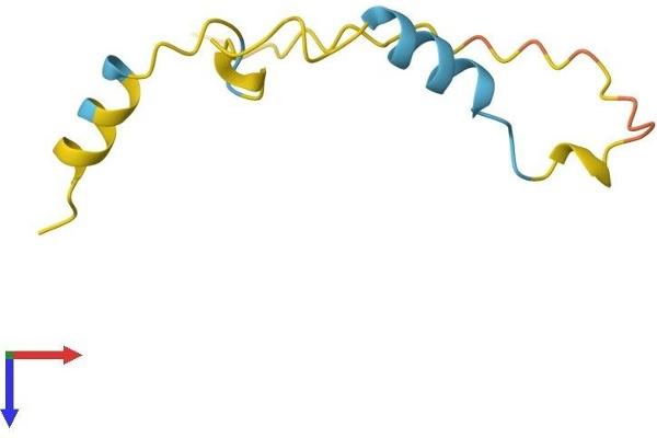 PKIG Protein (AA 1-76) (Fc Tag)