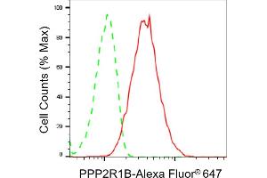 Flow cytometric analysis of PPP2R1B expression in HepG2 cells using PPP2R1B antibody (ABIN7800022), 1:2,000). (PPP2R1B Antikörper)