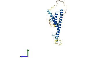 Protein Structure (PS) image for Rab Interacting Lysosomal Protein-Like 2 (RILPL2) (AA 1-197) protein (His tag) (ABIN7560362)