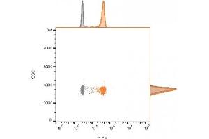 Flow cytometry of bead-bound exosomes derived from MCF-7 cells. (CD9 Antikörper)