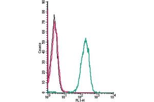 Cell surface detection of Tetraspanin-3 by indirect flow cytometry in live intact human  monocytic leukemia cell line: + goat-anti-rabbit-FITC.