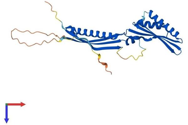 IRAK1BP1 Protein (AA 1-259) (His tag)