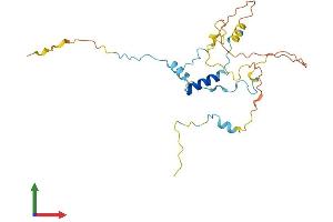 Protein Structure (PS) image for Myozenin 3 (MYOZ3) (AA 1-245) protein (His tag) (ABIN7559758)