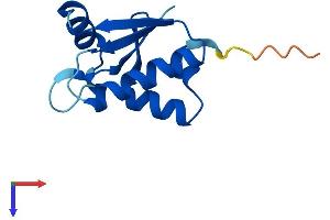 SH3BGRL2 Protein (AA 1-107) (His tag)
