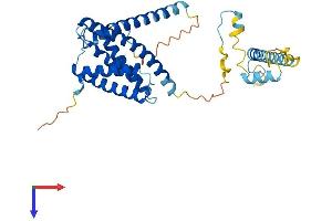IGBP1 Protein (AA 1-340) (His tag)